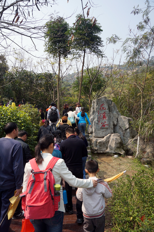 14471426752145.jpg 14471426752145.jpg