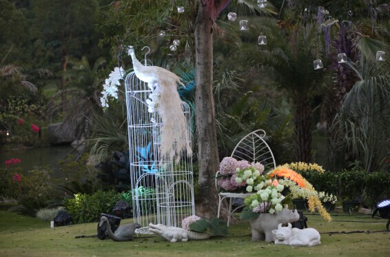 74391417777584.jpg 74391417777584.jpg