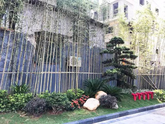 640-6.jpeg 640-6.jpeg