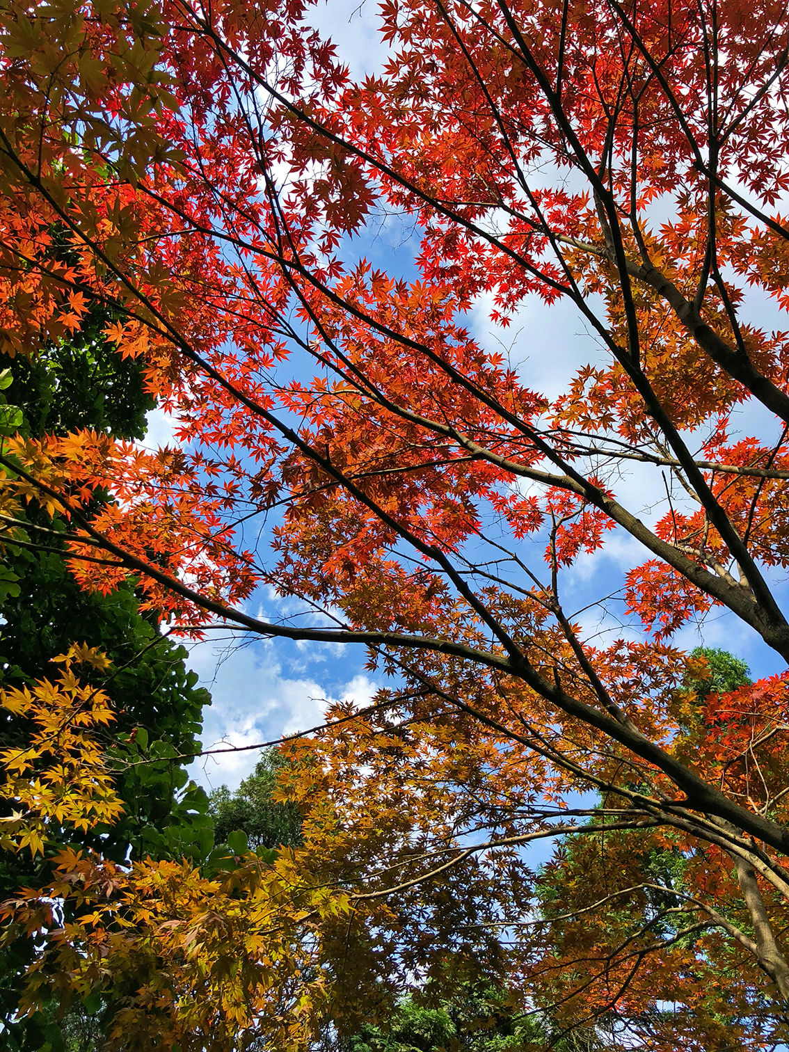 IMG_8101.jpg IMG_8101.jpg