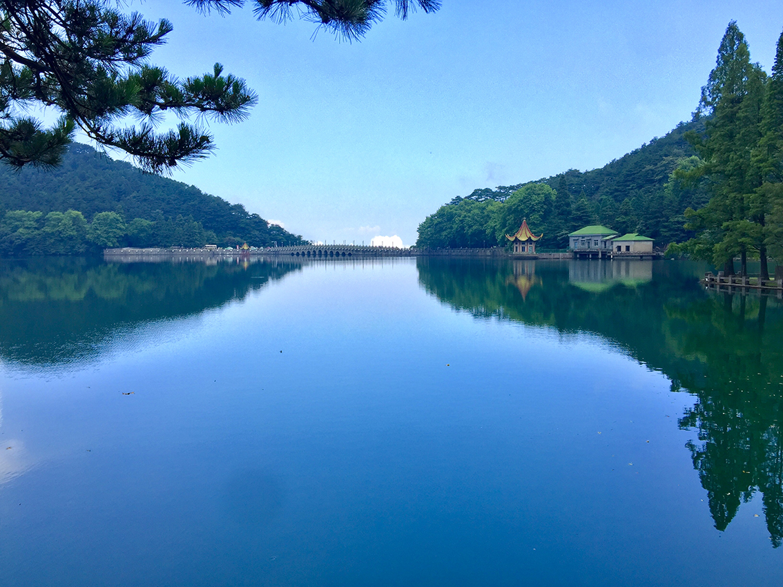 IMG_8104.jpg IMG_8104.jpg