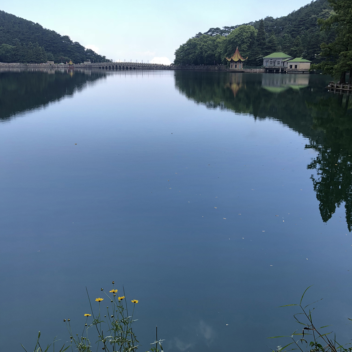 IMG_8106.jpg IMG_8106.jpg