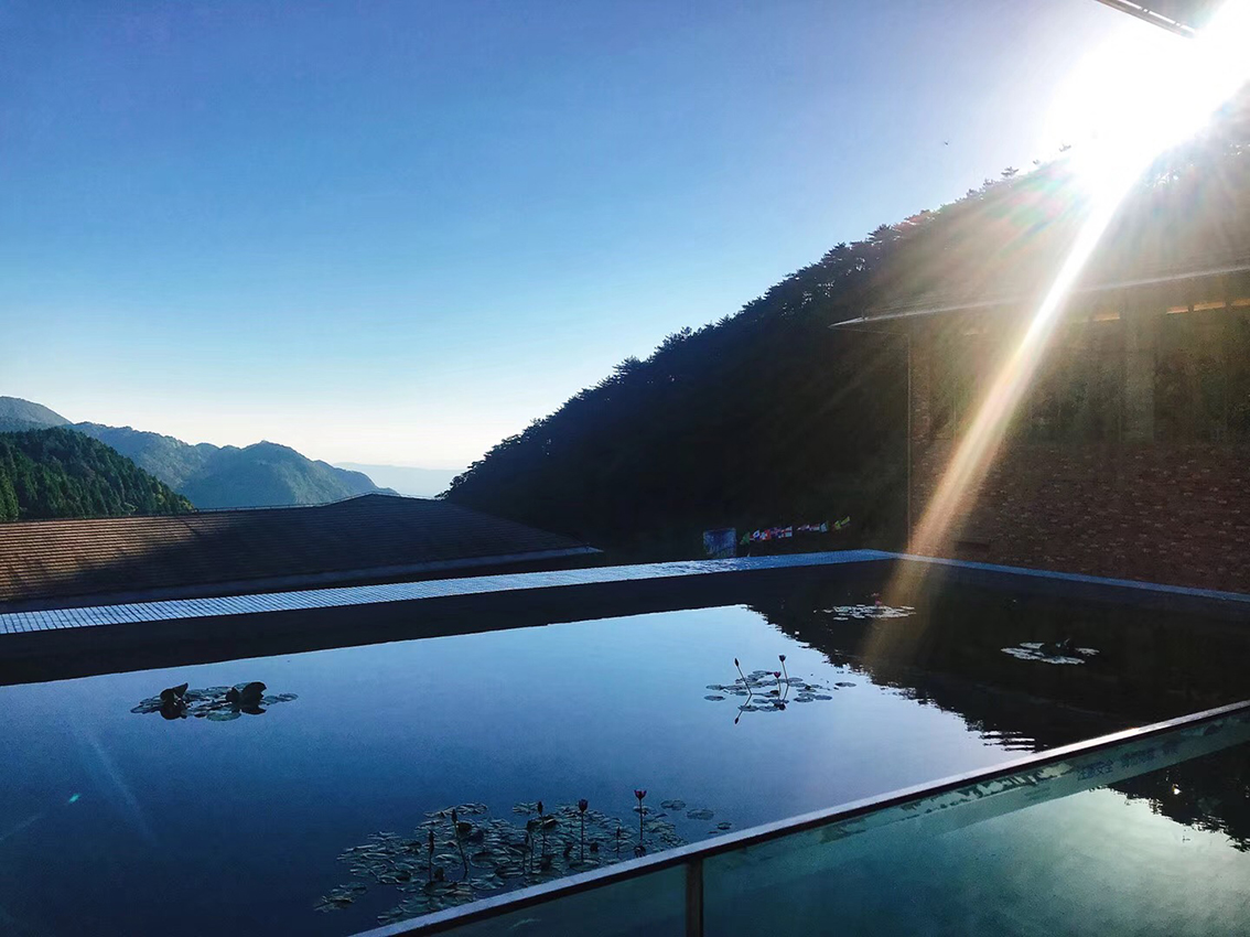 IMG_8107.jpg IMG_8107.jpg