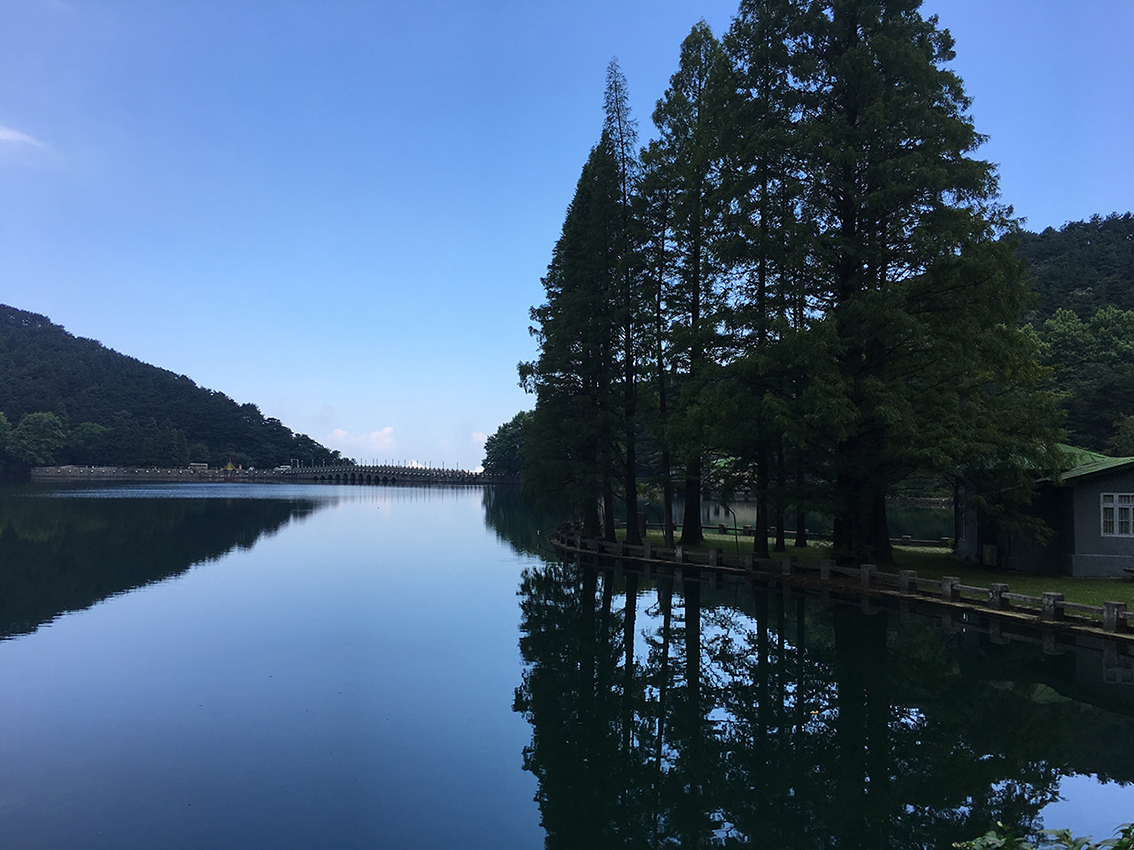 IMG_8109.jpg IMG_8109.jpg