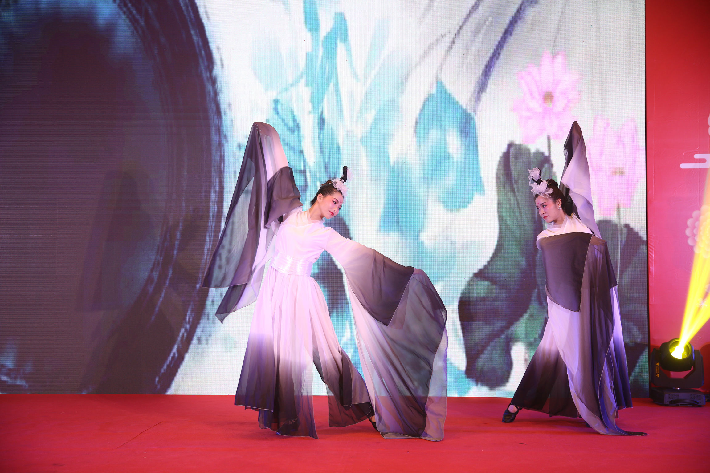 TMSY0645.jpg TMSY0645.jpg