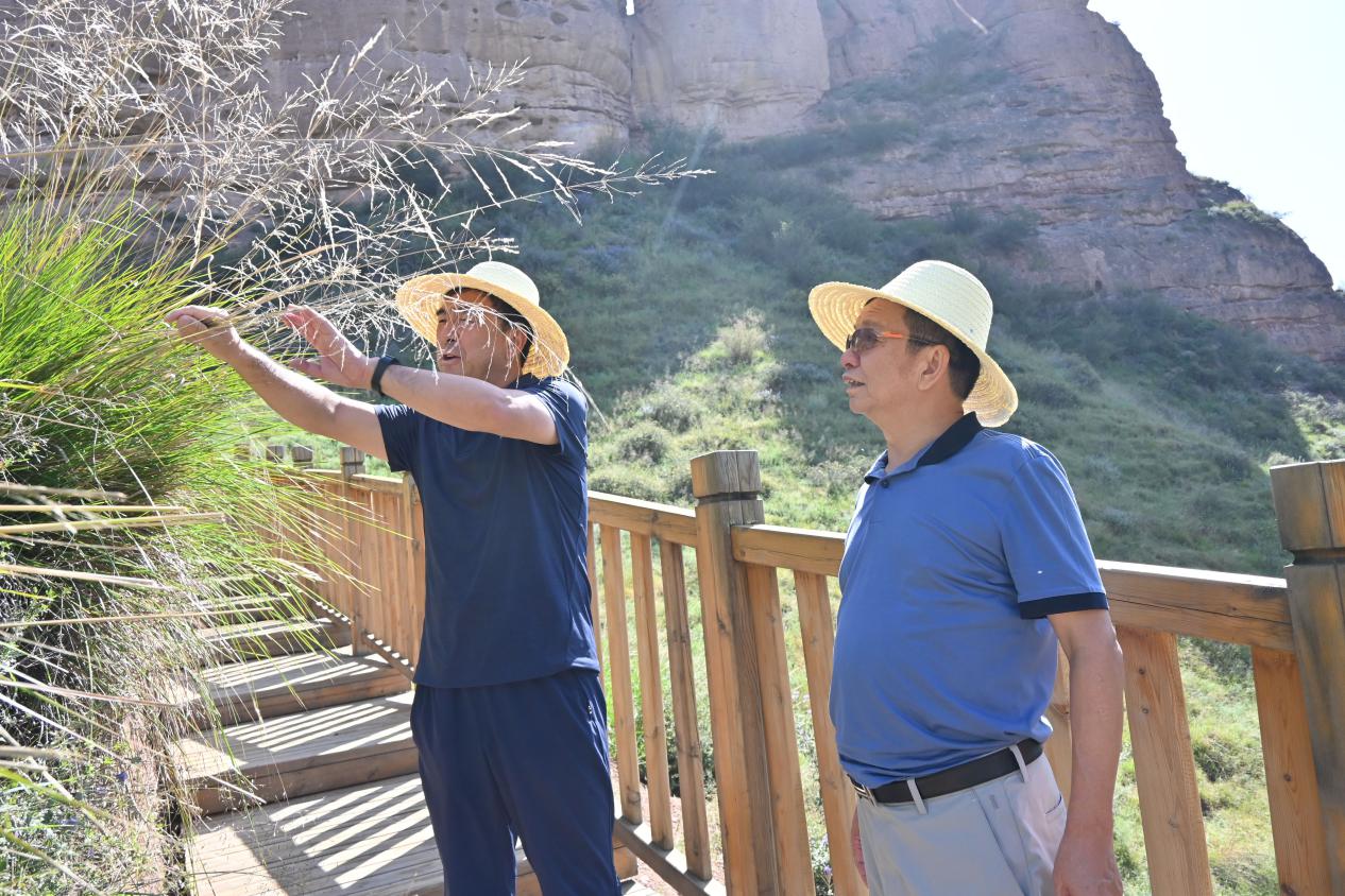 图片3.jpg 图片3.jpg